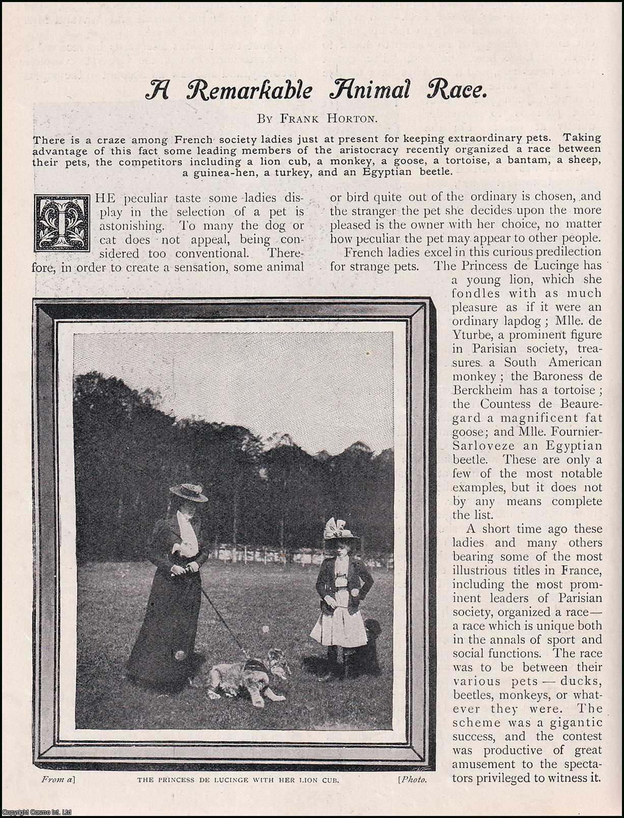 Frannk Horton - A Remarkable Animal Race : a lion cub, monkey, goose, tortoise, bantam, sheep, guinea-hen, turkey & an egyptian beetle. French Society ladies and their pets. An uncommon original article from the Wide World Magazine 1902.