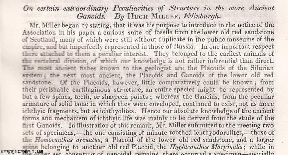 Hugh Miller, Edinburgh. - Certain extraordinary Peculiarities of Structure in the more Ancient Ganoids. An uncommon original article from the British Association for the Advancement of Science Report, 1850.