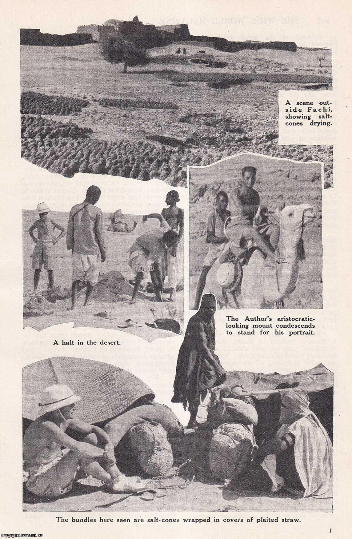 Thornton Freeland - Seeking the Salt-Caravan : men on camels travel hundreds of miles across the Sahara desert to fetch salt from the ancient mines. An uncommon original article from the Wide World Magazine, 1938.
