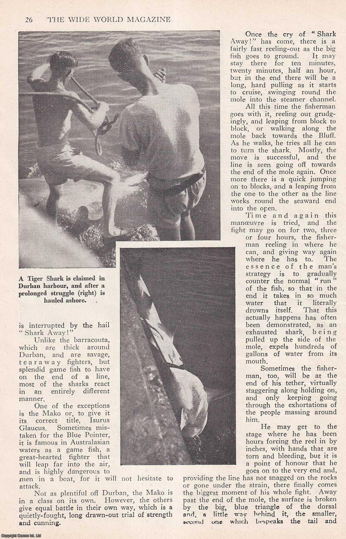 SHARK FISHING - Shark Fishers of Durban, South Africa. By John Doody. An uncommon original article from the Wide World Magazine, 1958.