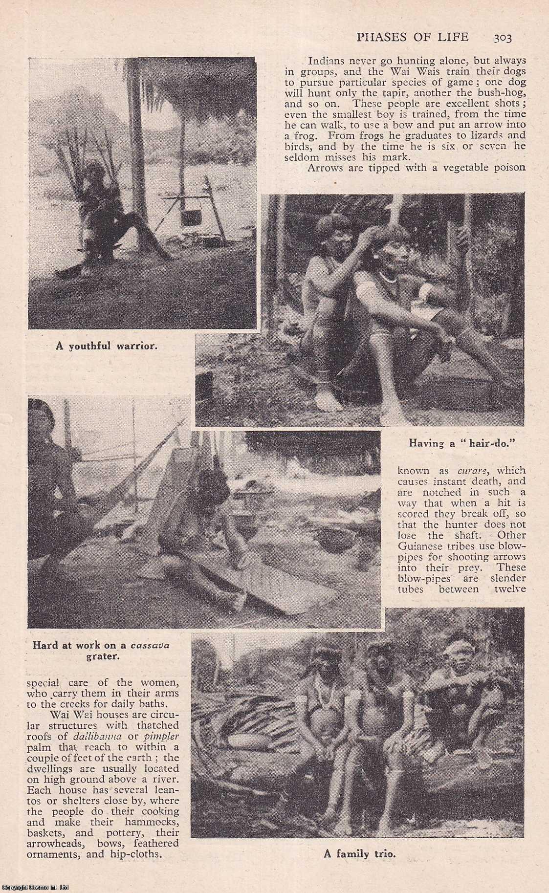 GUYANA - The Wai Wai Indians. By Jan Williams. An uncommon original article from the Wide World Magazine, 1950.