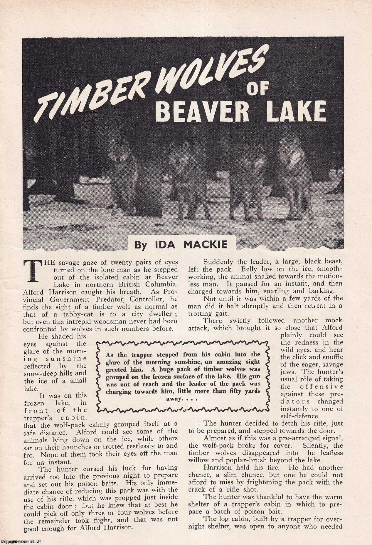 BRITISH COLUMBIA - Timber Wolves of Beaver Lake in Northern British Columbia. By Ida Mackie. An uncommon original article from the Wide World Magazine, 1957.