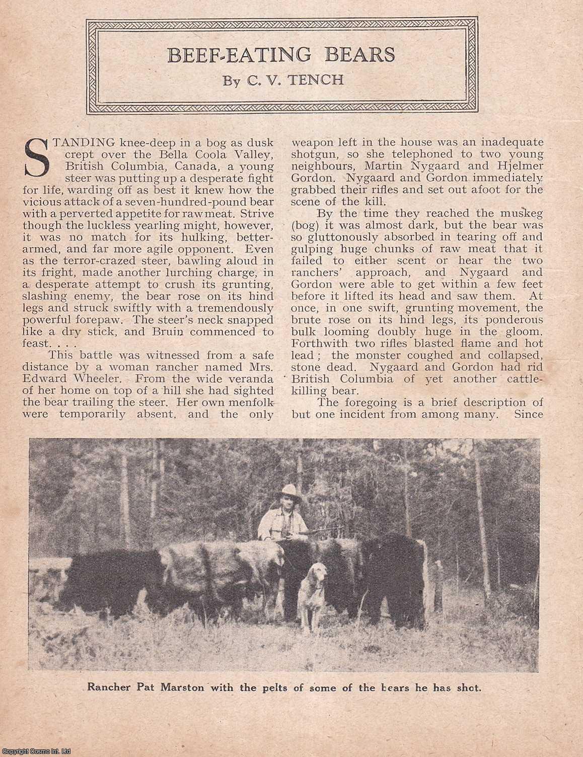 BEAR HUNTING - Beef-Eating Bears, British Columbia, Canada. By C.V. Tench. An uncommon original article from the Wide World Magazine, 1940.