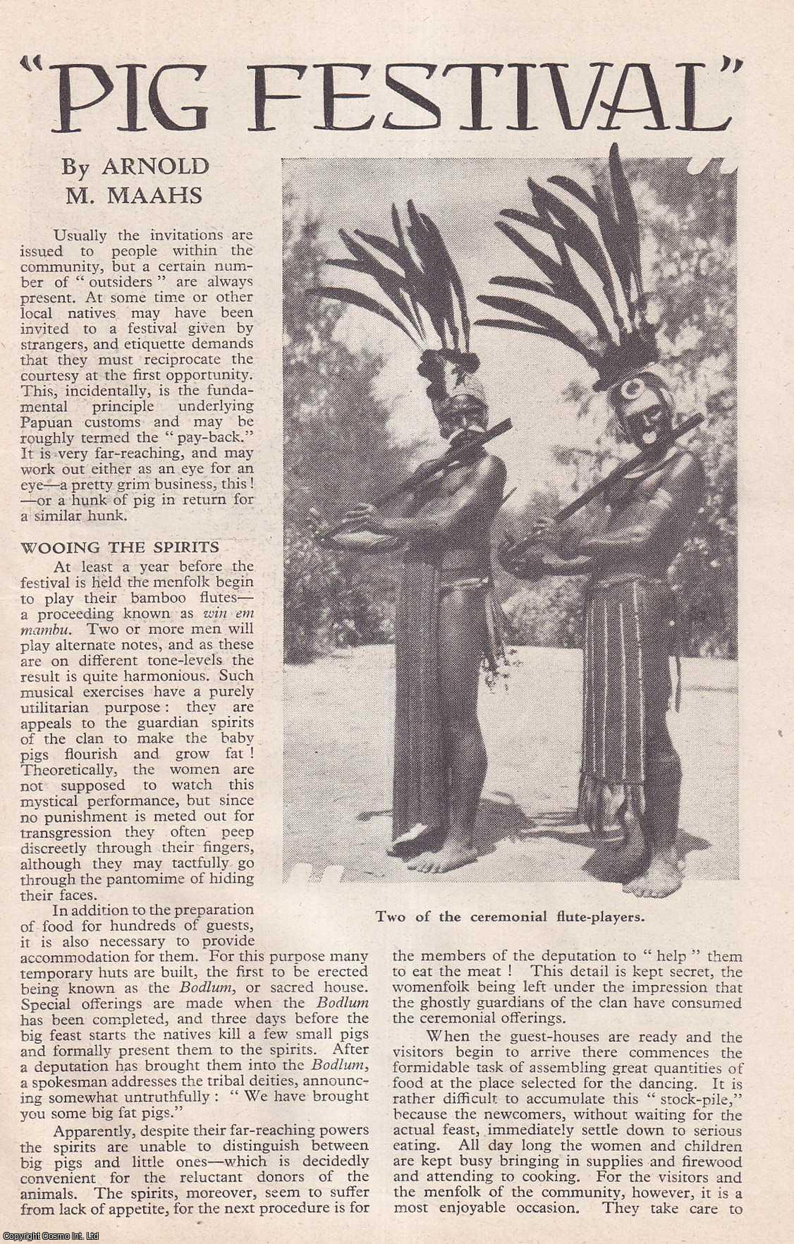 NEW GUINEA - A Papuan Pig Festival : Every two years a feast is held, at which large quantities of meat are consumed & dances are performed. By Arnold M. Maahs. An uncommon original article from the Wide World Magazine, 1952.