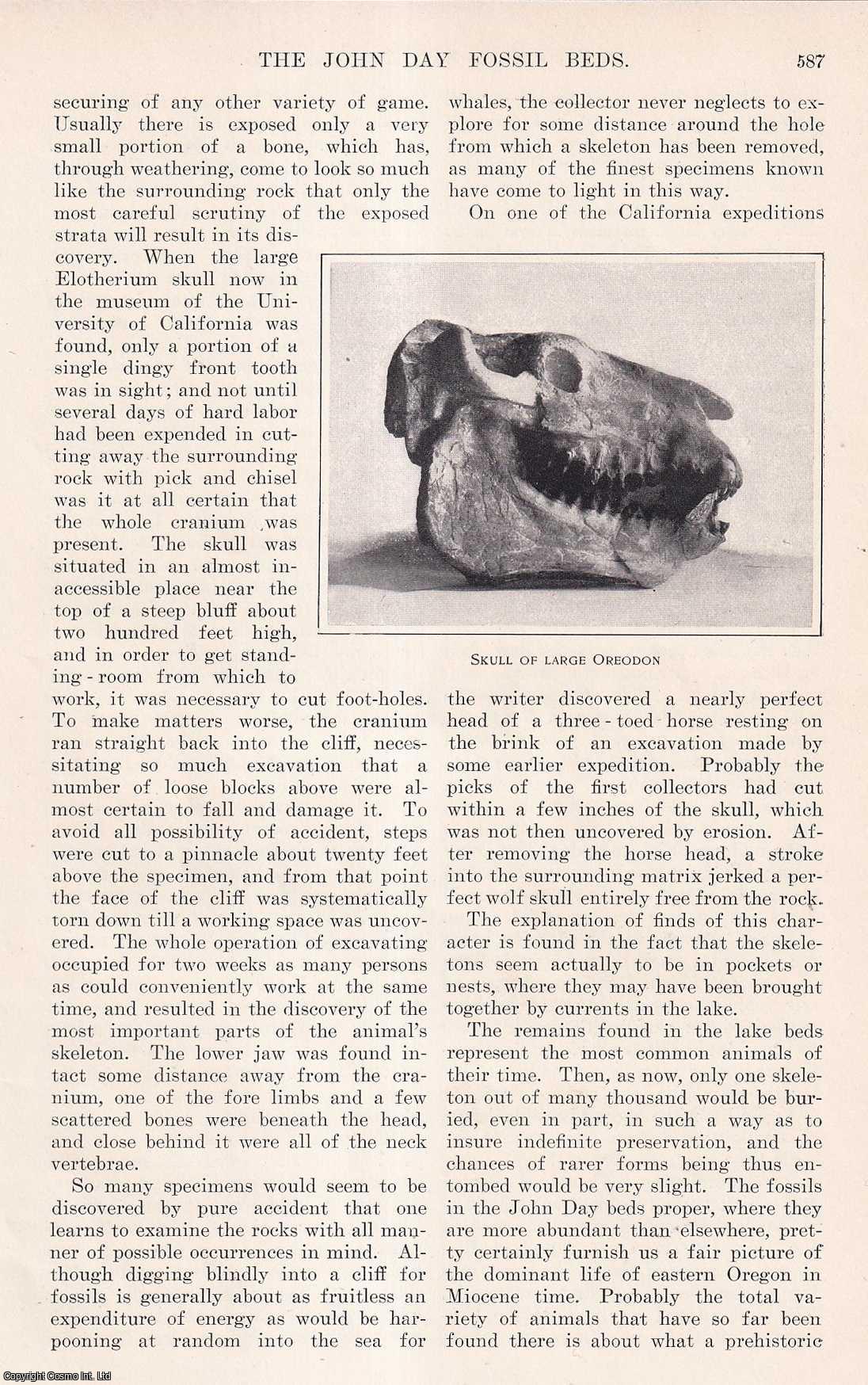 FOSSIL REMAINS, UNITED STATES - The John Day Fossil Beds. An original article from the Harper's Monthly Magazine, 1900.