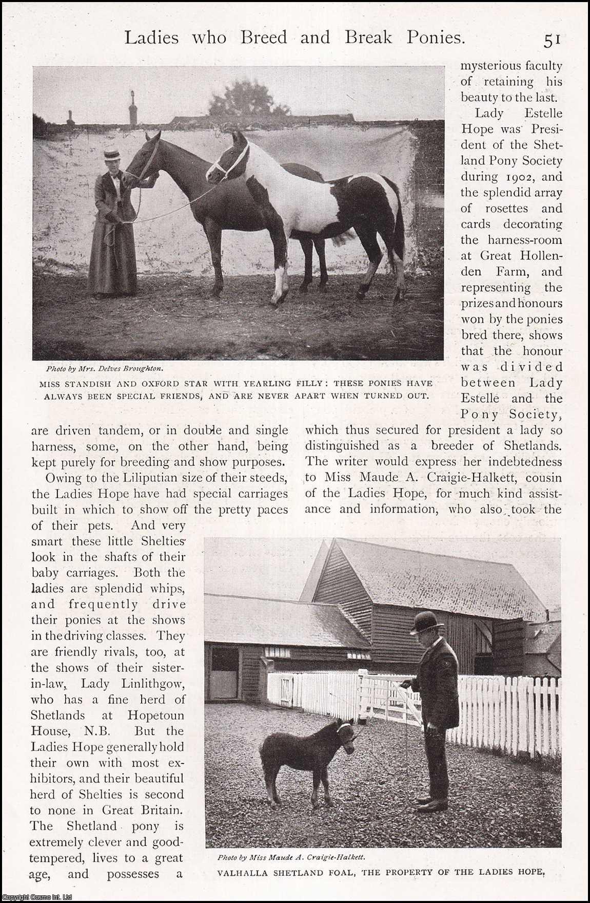 PONY BREEDING - Ladies who Breed & Break Ponies. By Annesley Kenealy. An uncommon original article from the Lady's Realm 1904.