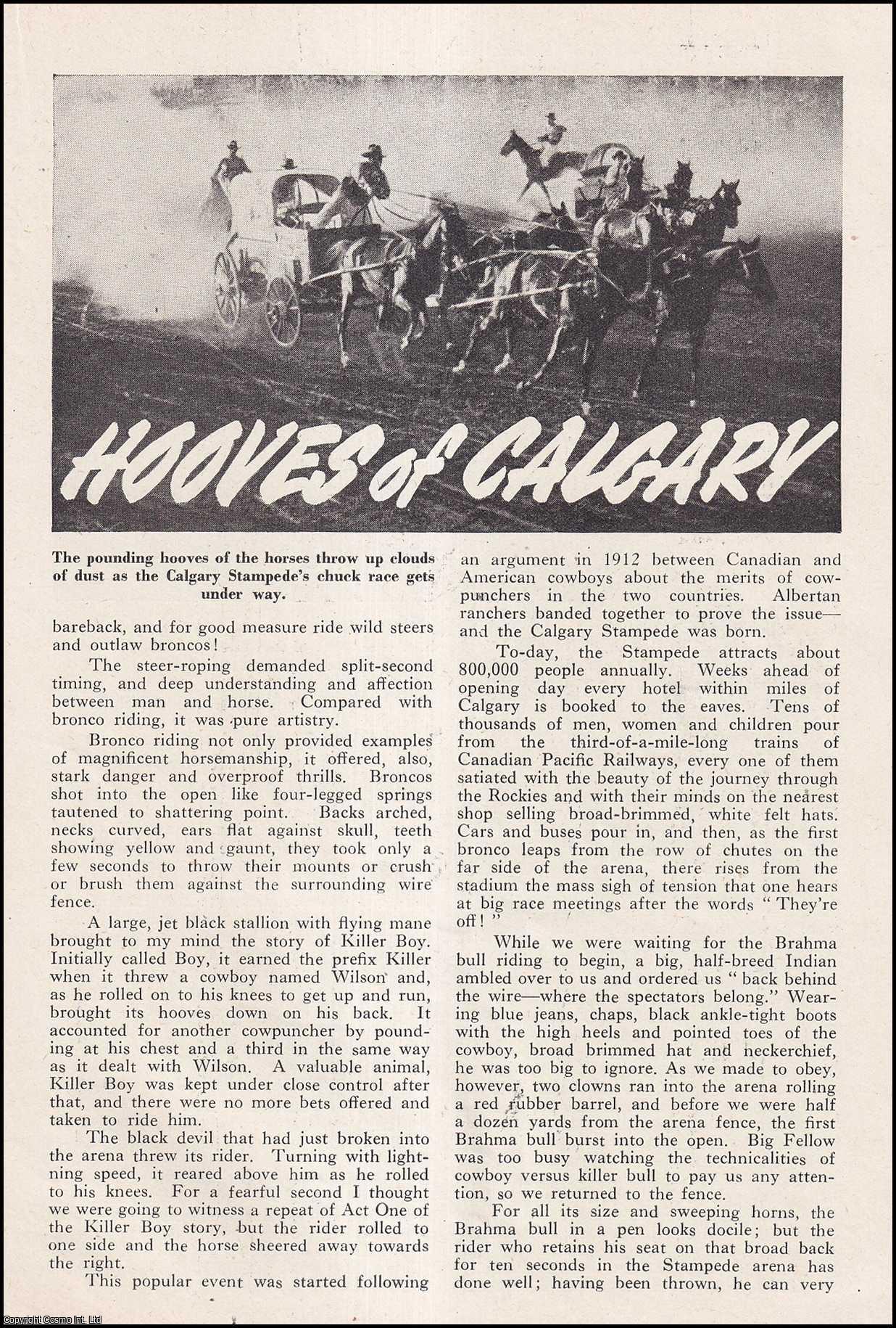 CALGARY STAMPEDE, CANADA - Flying Hooves of Calgary : Rodeo in Calgary, Canada. By Frank Illingworth. An uncommon original article from the Wide World Magazine, 1956.