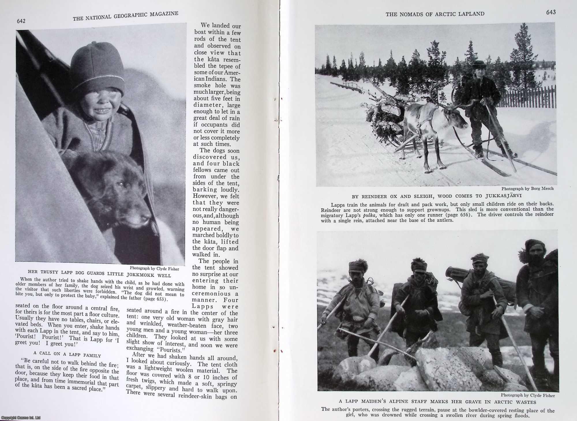 ARCTIC, LAPLAND - The Nomads of Arctic Lapland. By Clyde Fisher. An original article from the National Geographic Magazine, 1939.