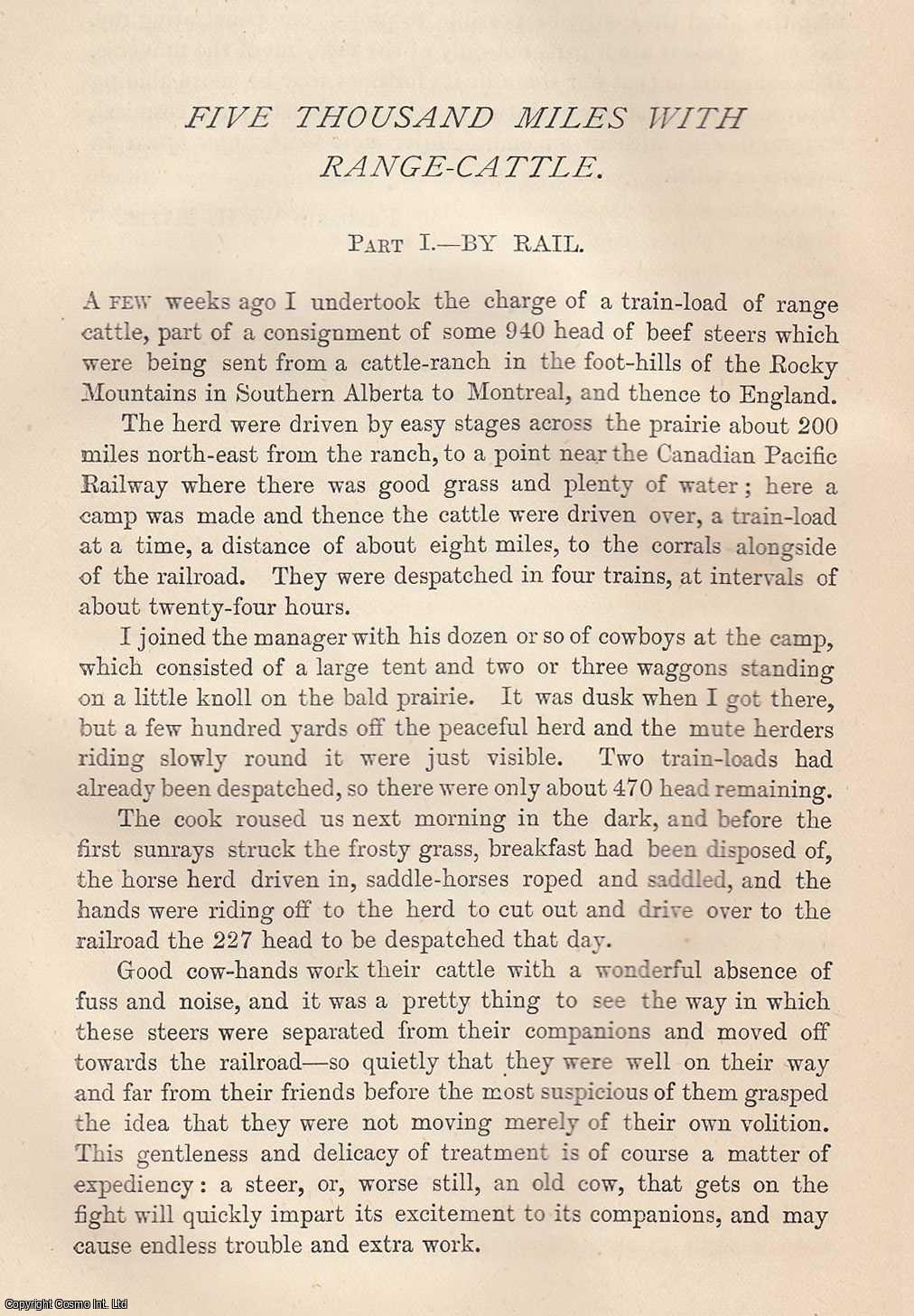 Nele Loring - Five Thousand Miles with Range-Cattle. Southern Alberta to Montreal, to England. A rare original article from the Nineteenth Century Magazine, 1891.