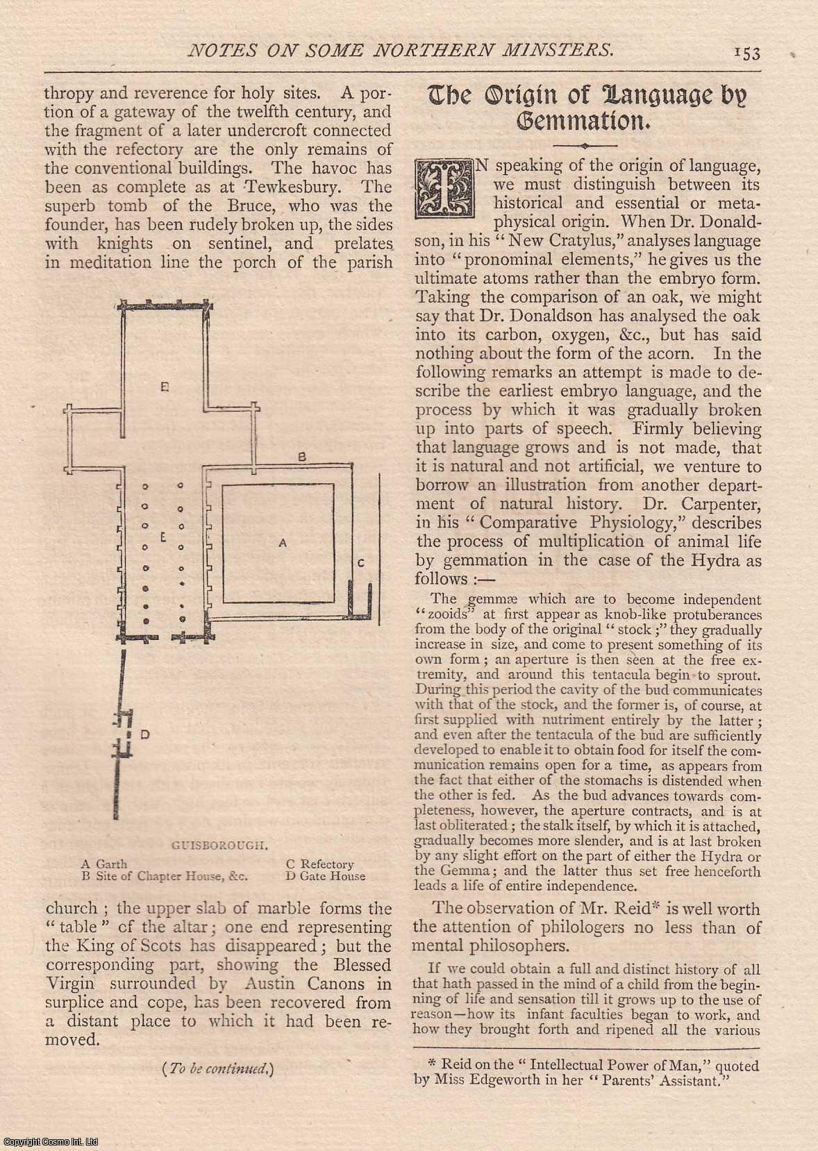 R. Henniker - The Origin of Language by Gemmation. An original article from The Antiquary Magazine, 1880.