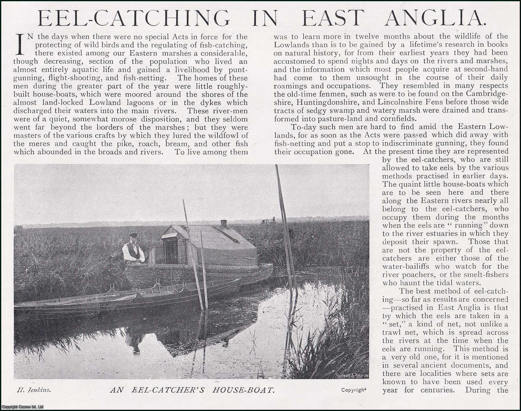 William A. Dutt - Eel-Catching in East Anglia. Several pictures and accompanying text, removed from an original issue of Country Life Magazine, 1899.