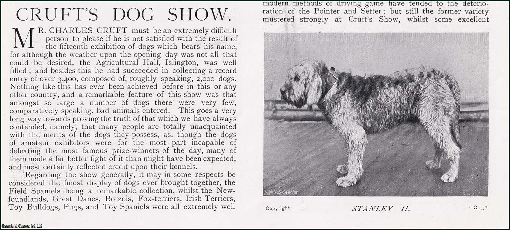 Country Life Magazine - Cruft's Dog Show. Several pictures and accompanying text, removed from an original issue of Country Life Magazine, 1899.