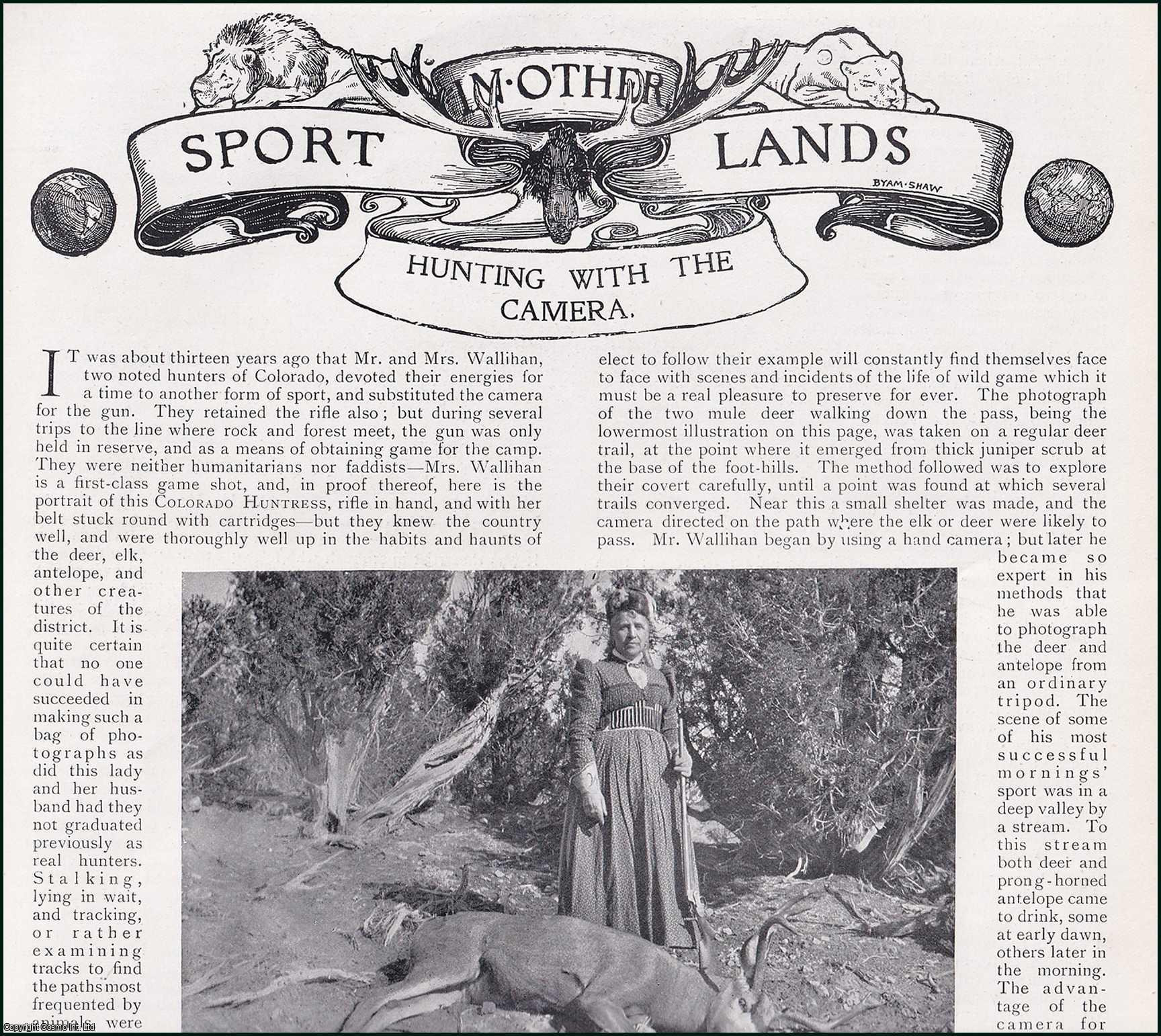 Country Life Magazine - Hunting with The Camera, Colorado. Several pictures and accompanying text, removed from an original issue of Country Life Magazine, 1899.