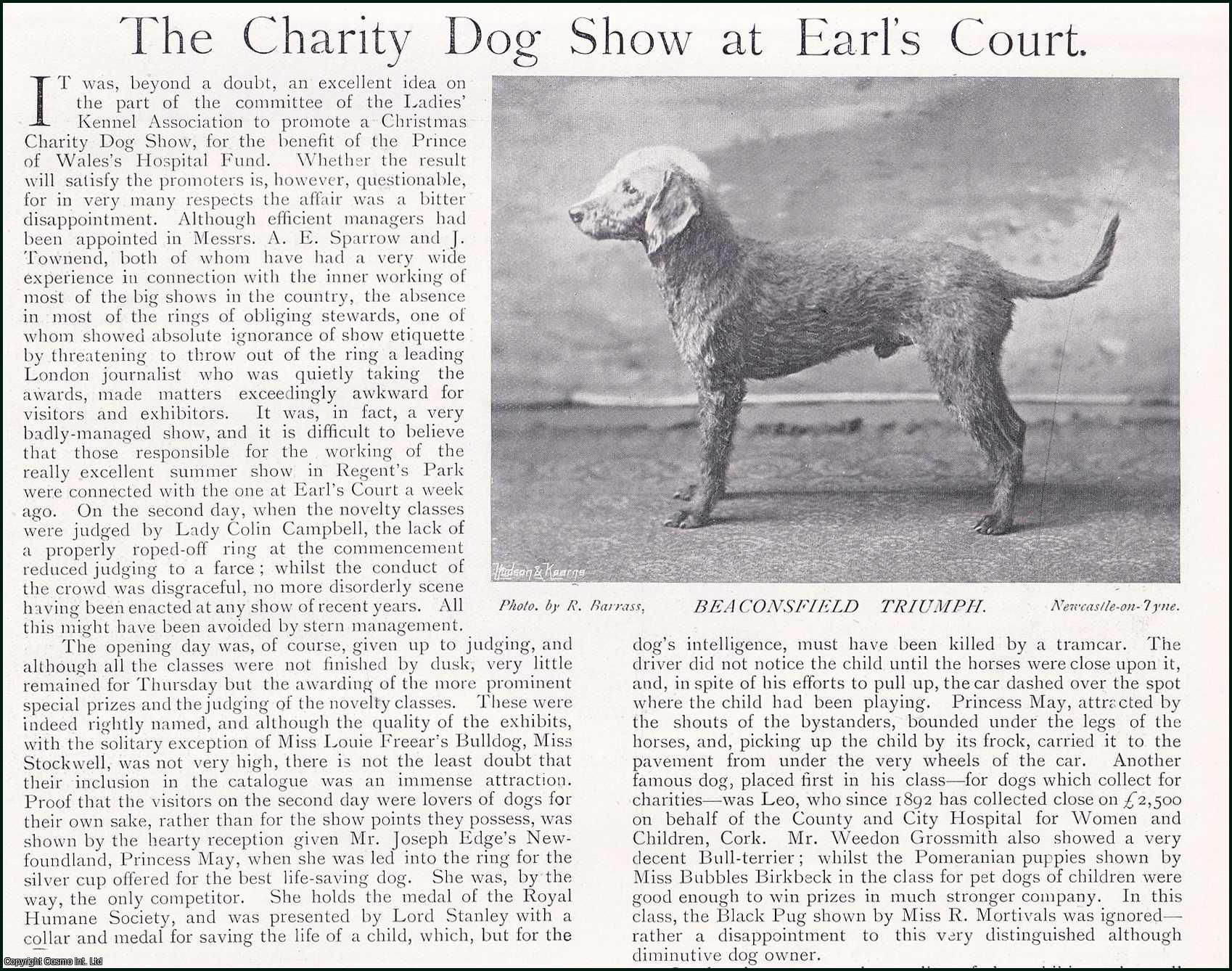 Country Life Magazine - The Charity Dog Show at Earl's Court. Several pictures and accompanying text, removed from an original issue of Country Life Magazine, 1897.