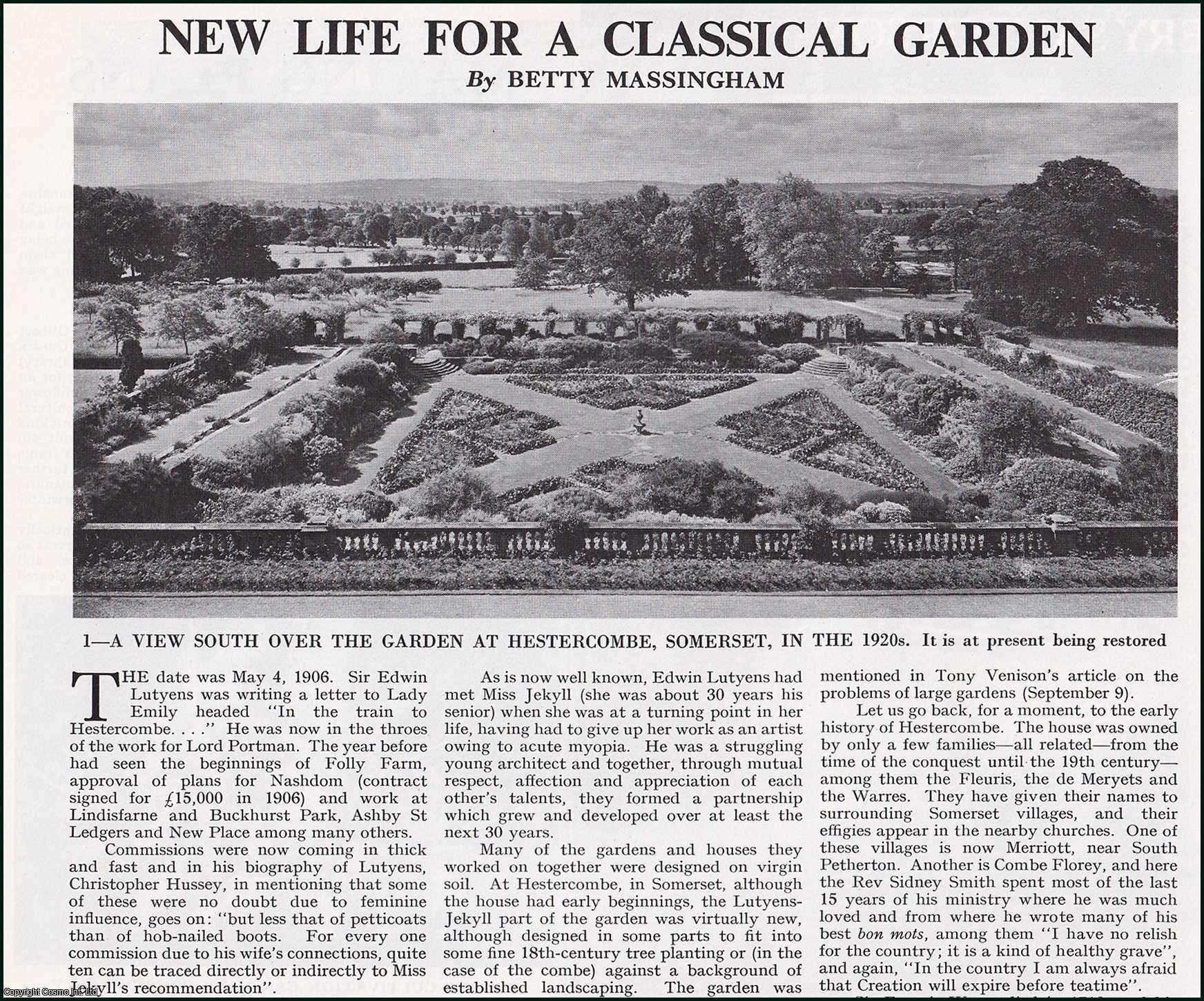 Betty Massingham - New Life for a Classical Garden at Hestercombe, Somerset. Several pictures and accompanying text, removed from an original issue of Country Life Magazine, 1976.