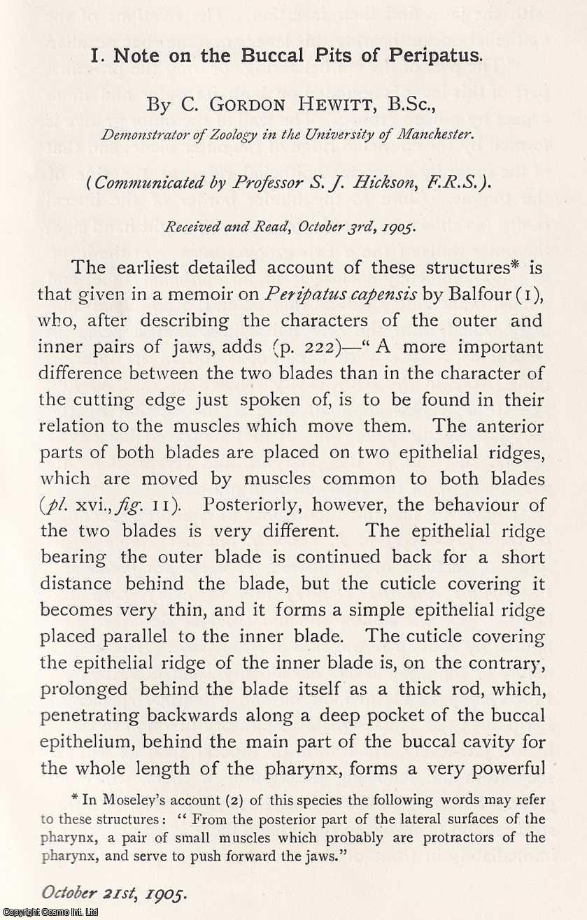 C. Gordon Hewitt - The Buccal Pits of Peripatus. An original article from the Memoirs of the Literary and Philosophical Society of Manchester, 1906.