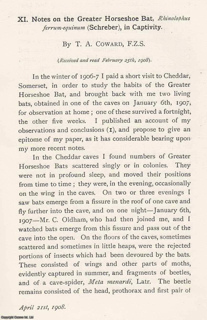 T. A. Coward - The Greater Horseshoe Bat, Rhinolophus Ferrum-Equinum (Schreber), in Captivity. An original article from the Memoirs of the Literary and Philosophical Society of Manchester, 1908.