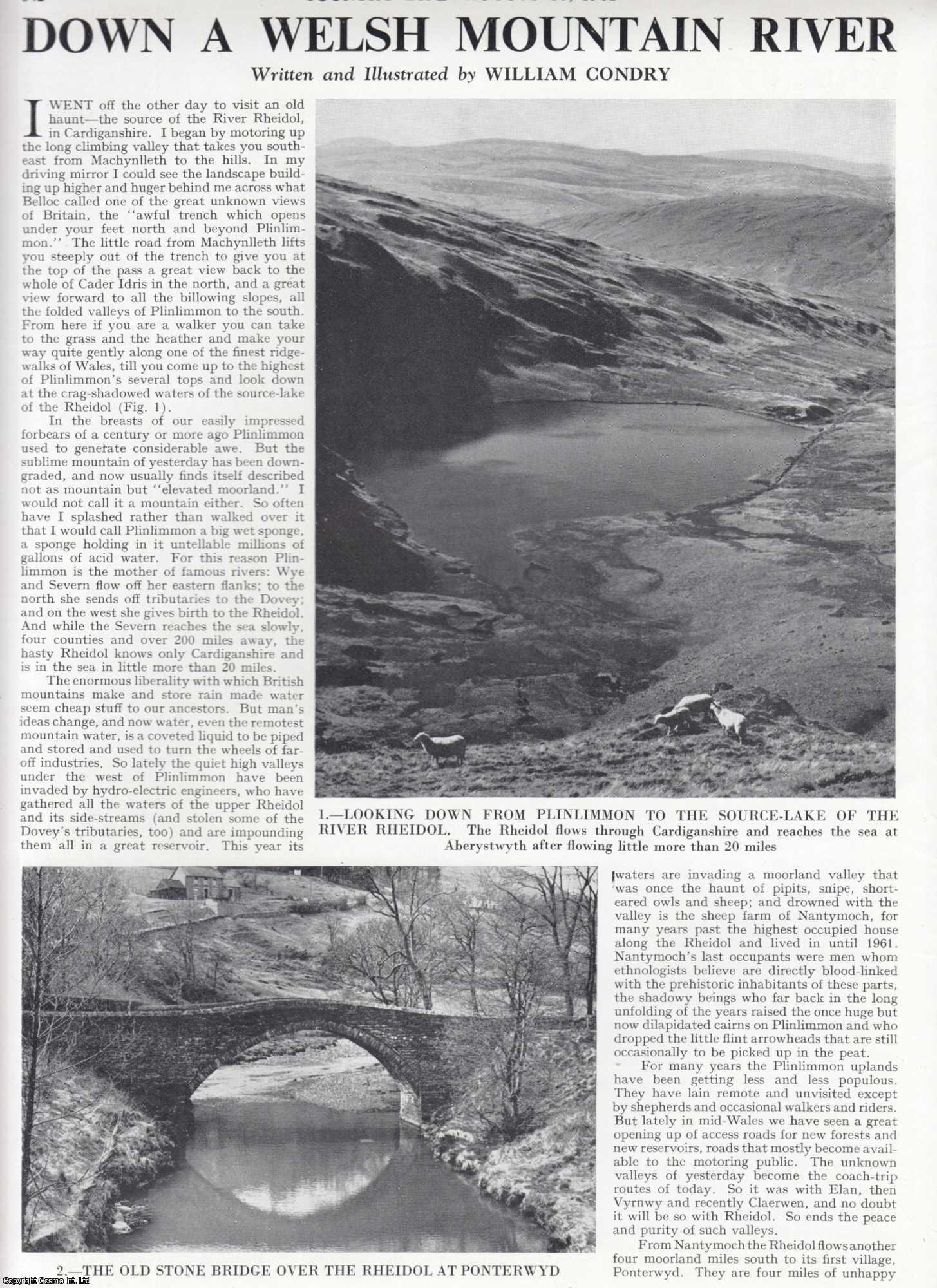 William Condry - Down a Welsh Mountain, River Rheidol. Several pictures and accompanying text, removed from an original issue of Country Life Magazine, 1962.