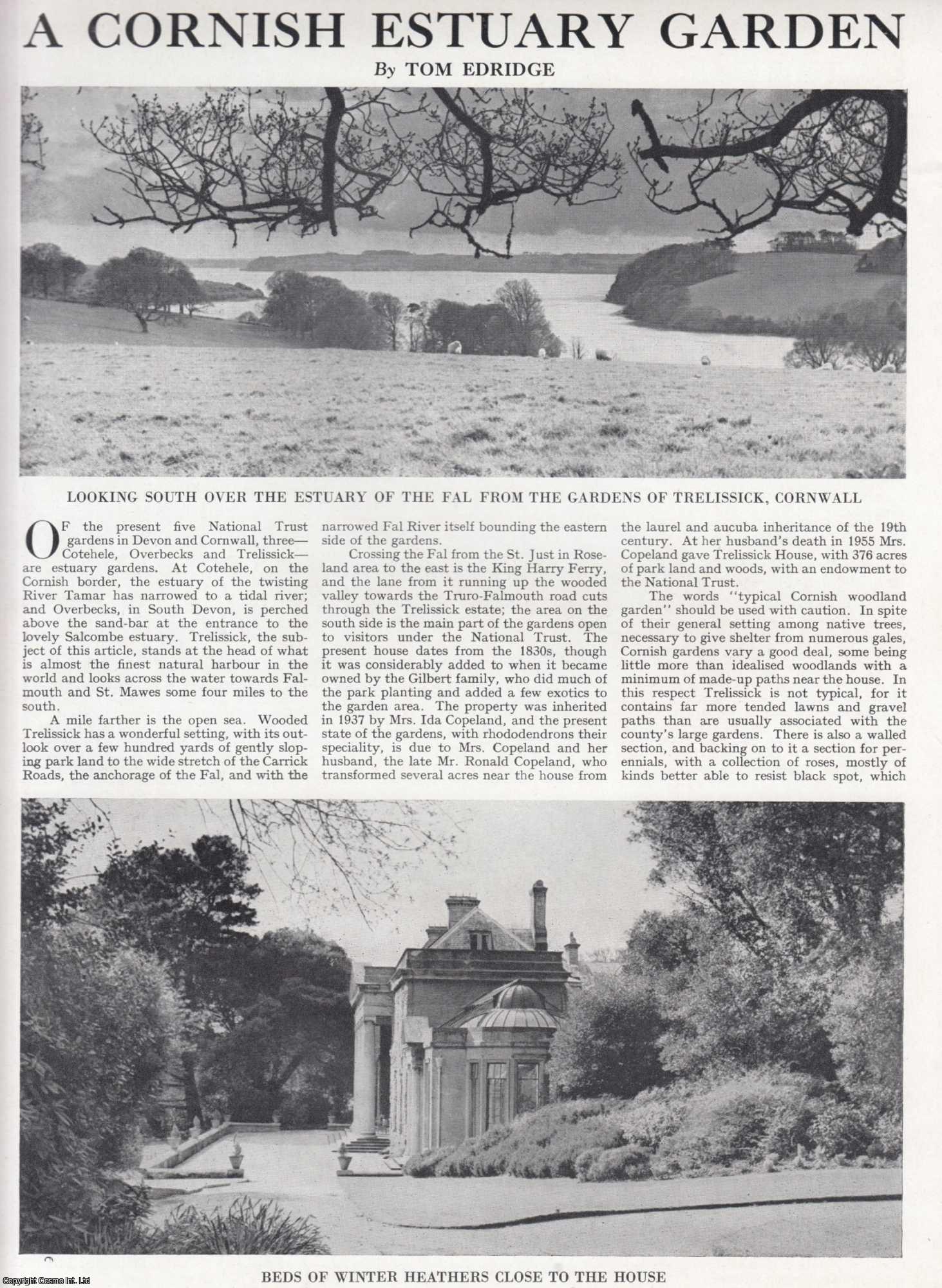 Tom Edridge - A Cornish Estuary Garden, Trelissick, Cornwall. Several pictures and accompanying text, removed from an original issue of Country Life Magazine, 1962.
