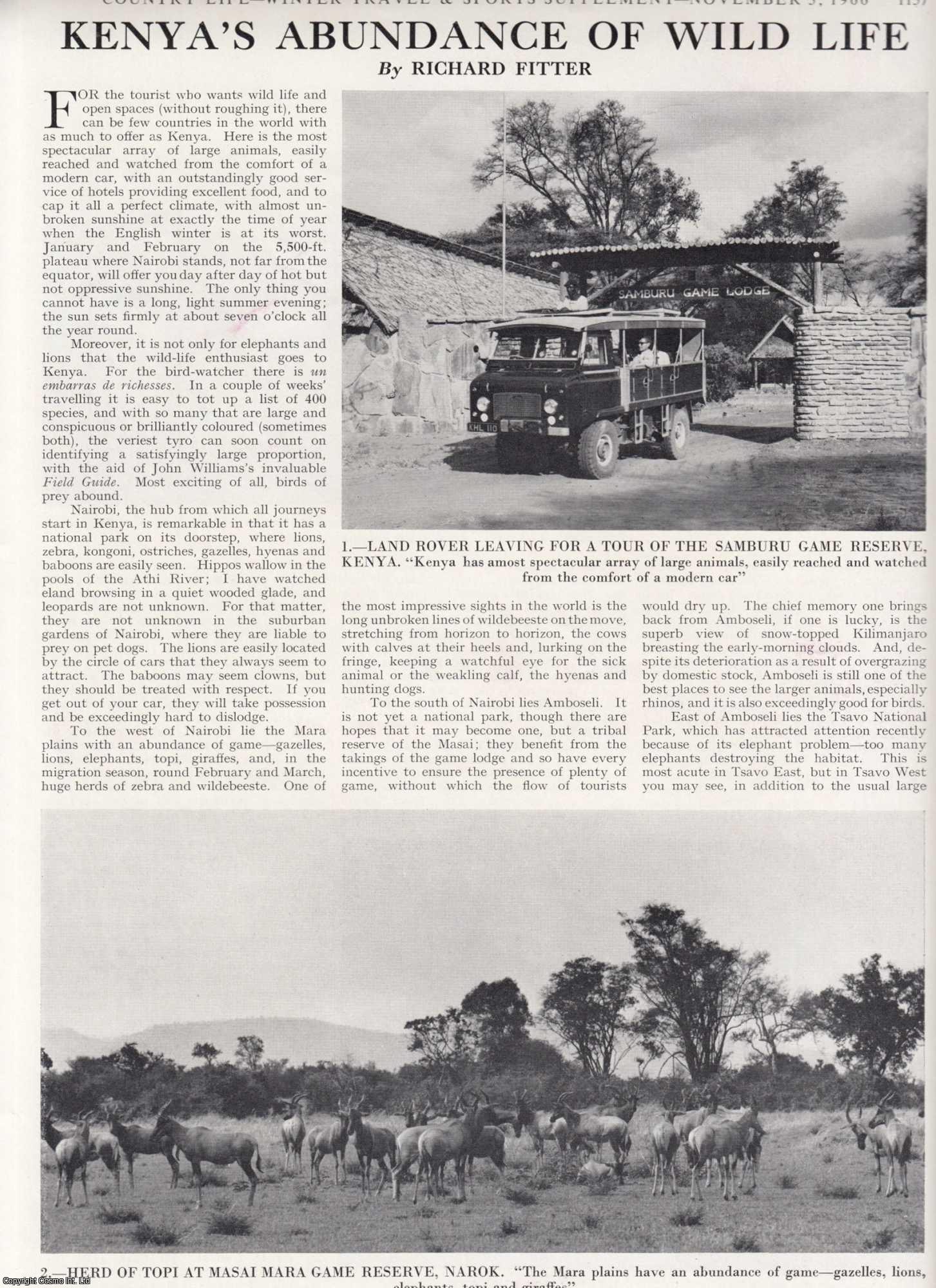 Richard Fitter - Kenya's Abundance of Wild Life. Several pictures and accompanying text, removed from an original issue of Country Life Magazine, 1966.