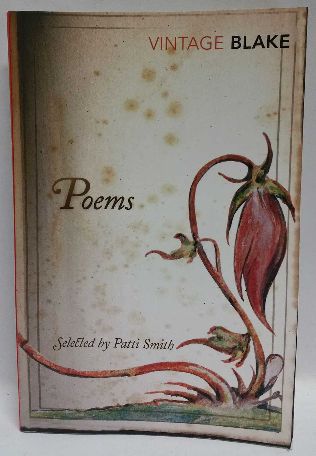William Blake - Poems (Selected by Patti Smith)