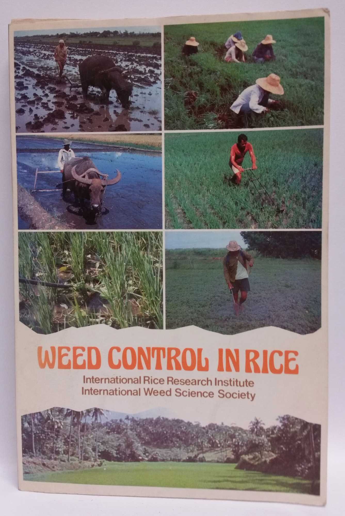 International Rice Research Institute - Proceedings of the Conference On Weed Control In Rice (31 August-4 September, 1981)