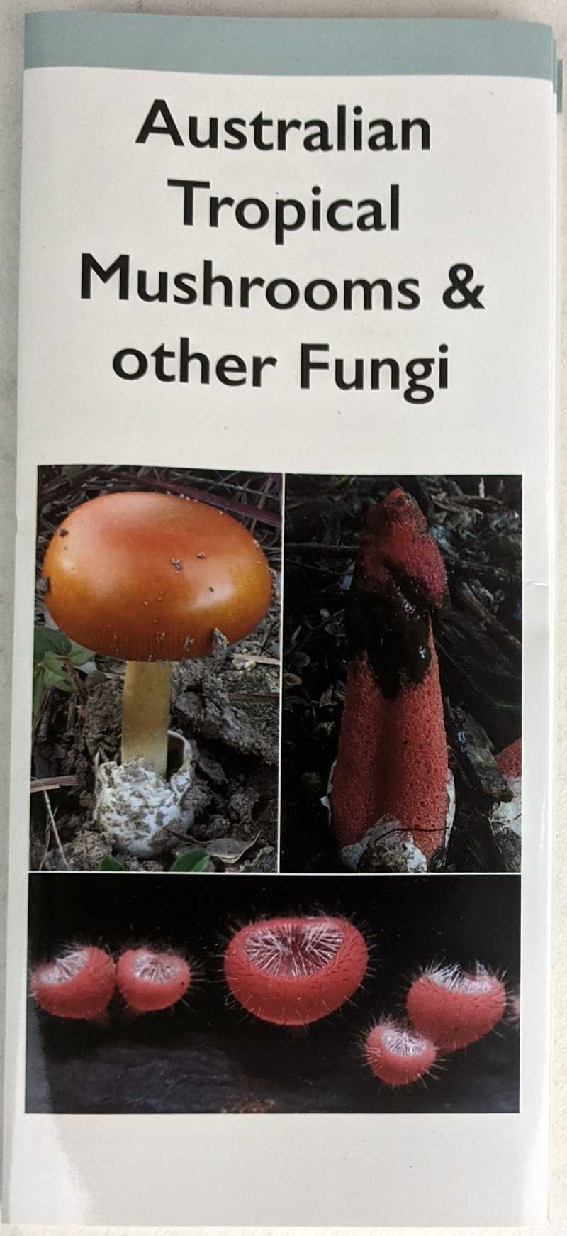 Frances Guard; Sapphire McMullan-Fisher; Matthew Barrett - Australian Tropical Mushrooms & Other Fungi