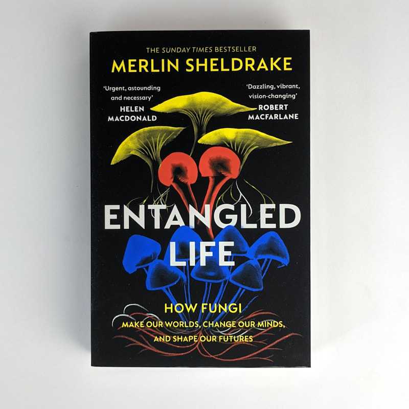 Merlin Sheldrake - Entangled Life: How Fungi Make Our Worlds, Change Our Minds, And Shape Our Futures