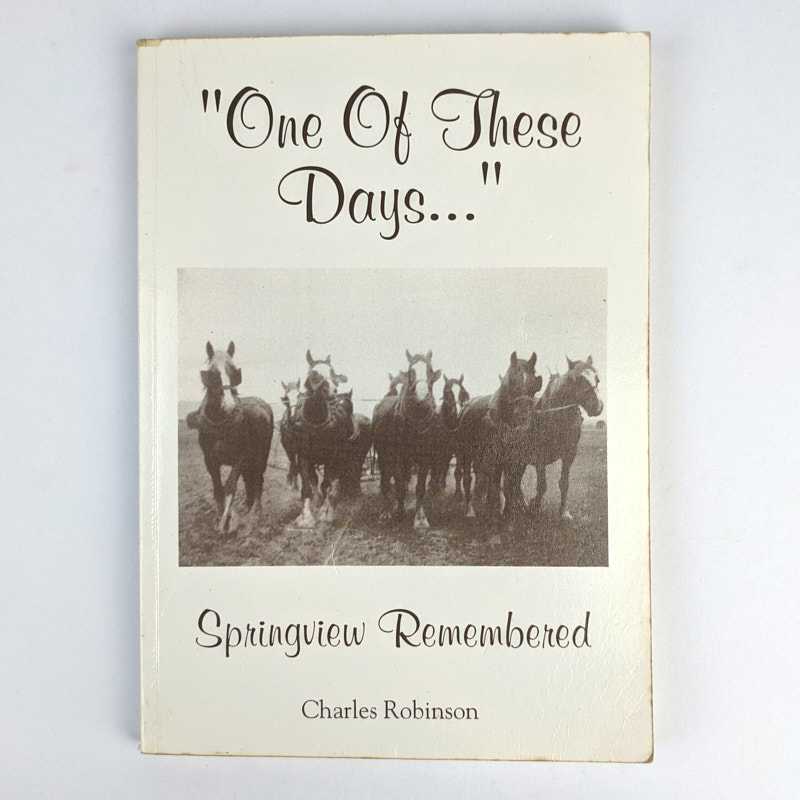 Charles Robinson - One Of These Days... Springview Remembered