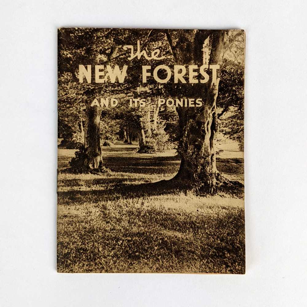 Michael Ramsay - The New Forest and its Ponies
