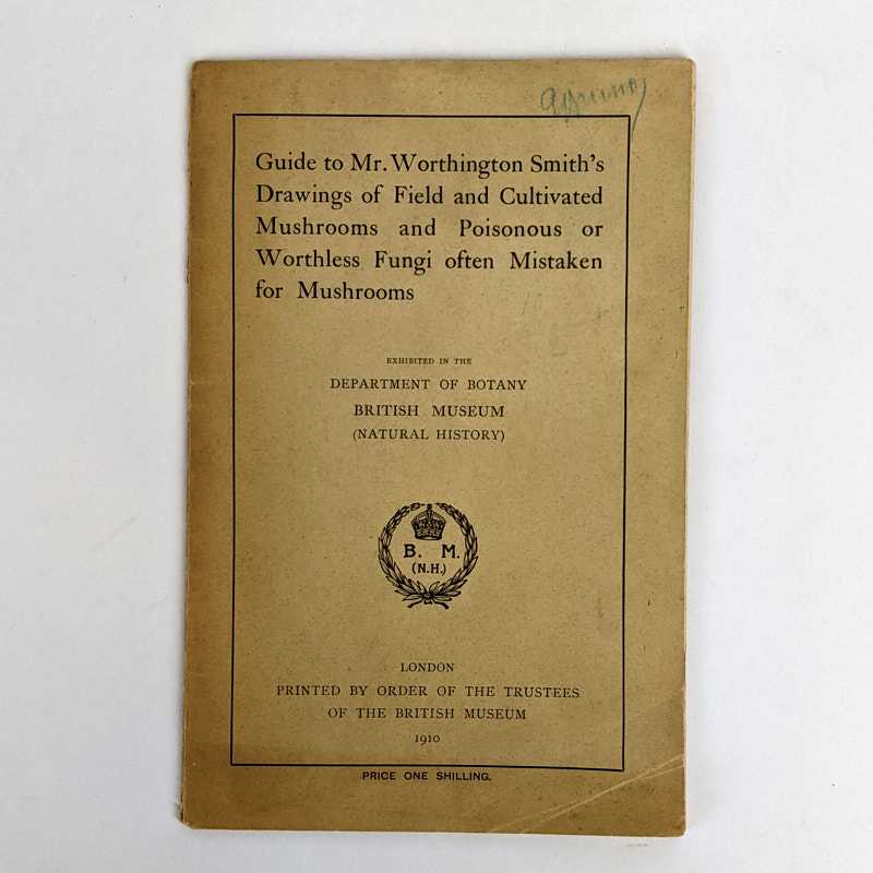 W. G. Smith - Guide to Mr. Worthington Smith's Drawings of Field and Cultivated Mushrooms and Poisonous or Worthless Fungi Often Mistaken for Mushrooms