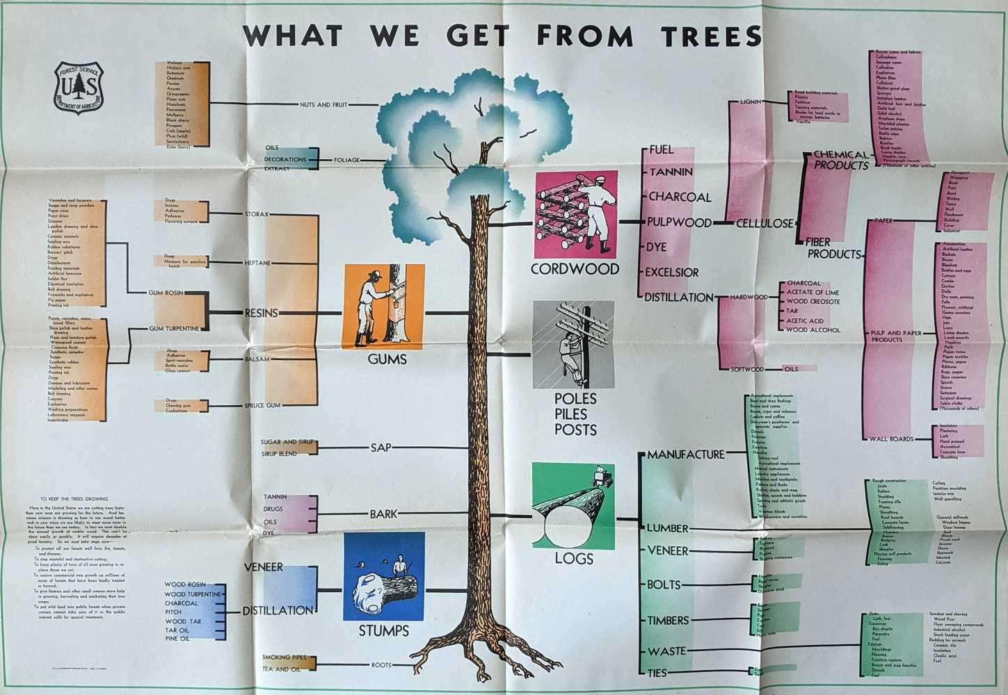 U. S. Department of Agriculture Forest Service - What We Get From Trees