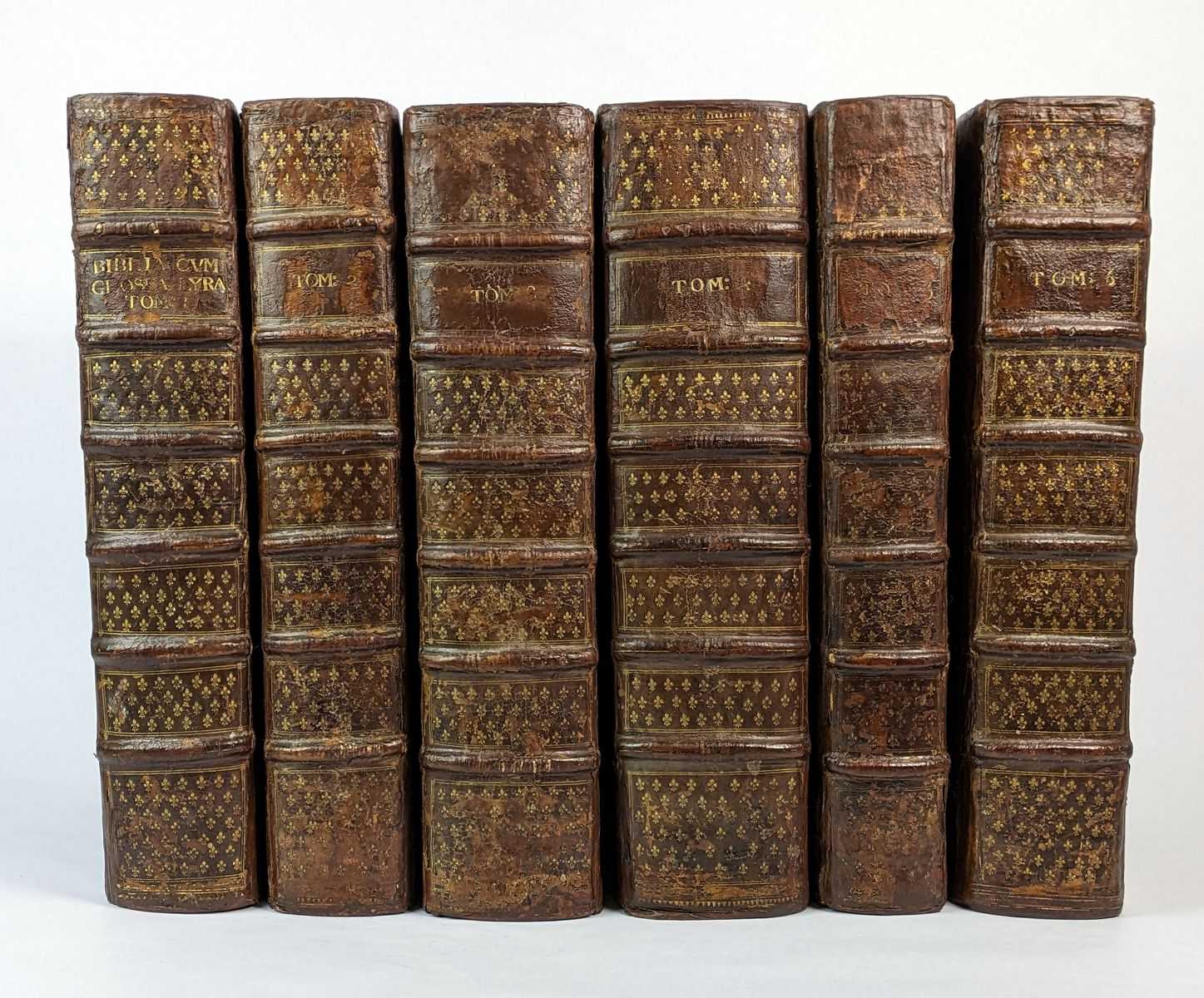 Nicholas of Lyra; ; Leander a. S. Martino - Biblia Sacra Cum Glossa Ordinaria (6 Volumes)