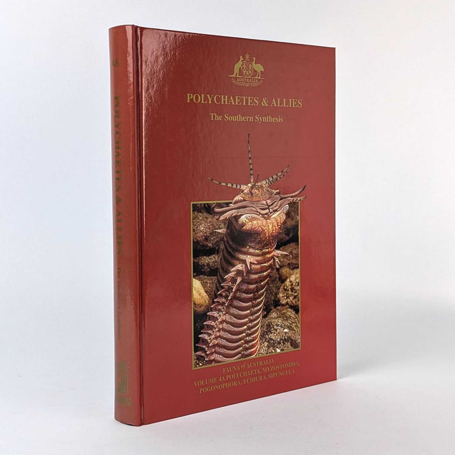 Pamela L. Beesley; Graham J. B. Ross; Christopher J. Glasby - Polychaetes & Allies: The Southern Synthesis (Fauna of Australia Volume 4A Polychaeta, Myzostomida, Pogonophora, Echiura, Sipuncula)