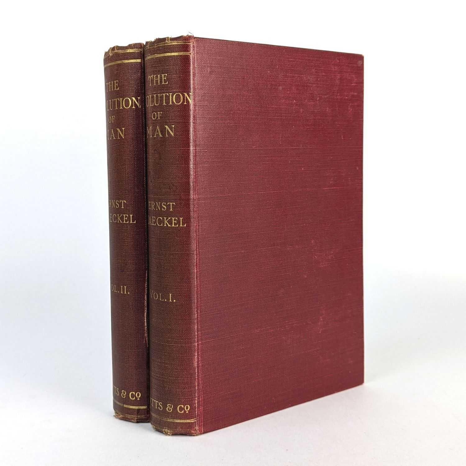 Ernst Haeckel - The Evolution of Man: A Popular Scientific Study (2 Volumes)