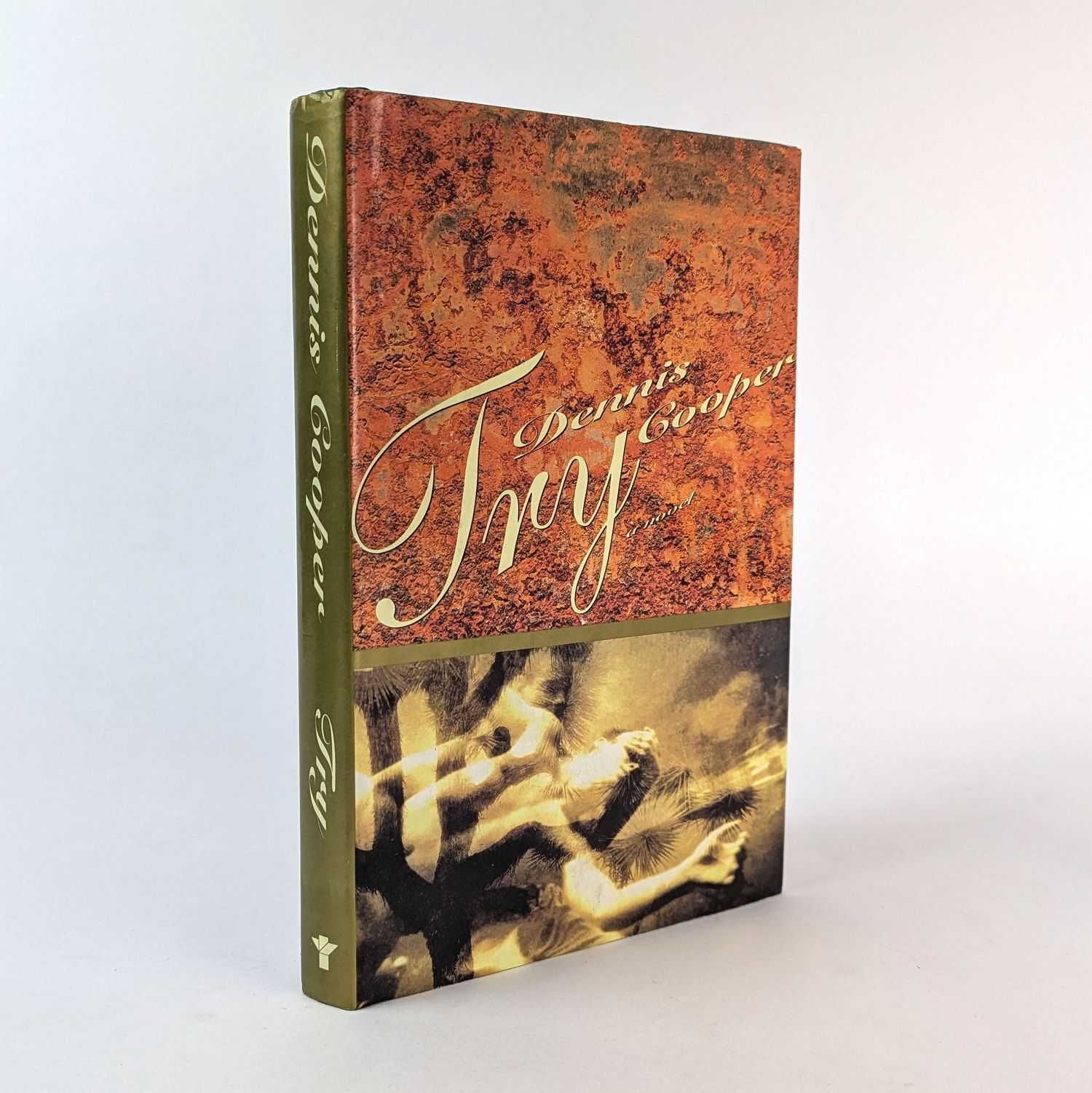 Dennis Cooper - Try