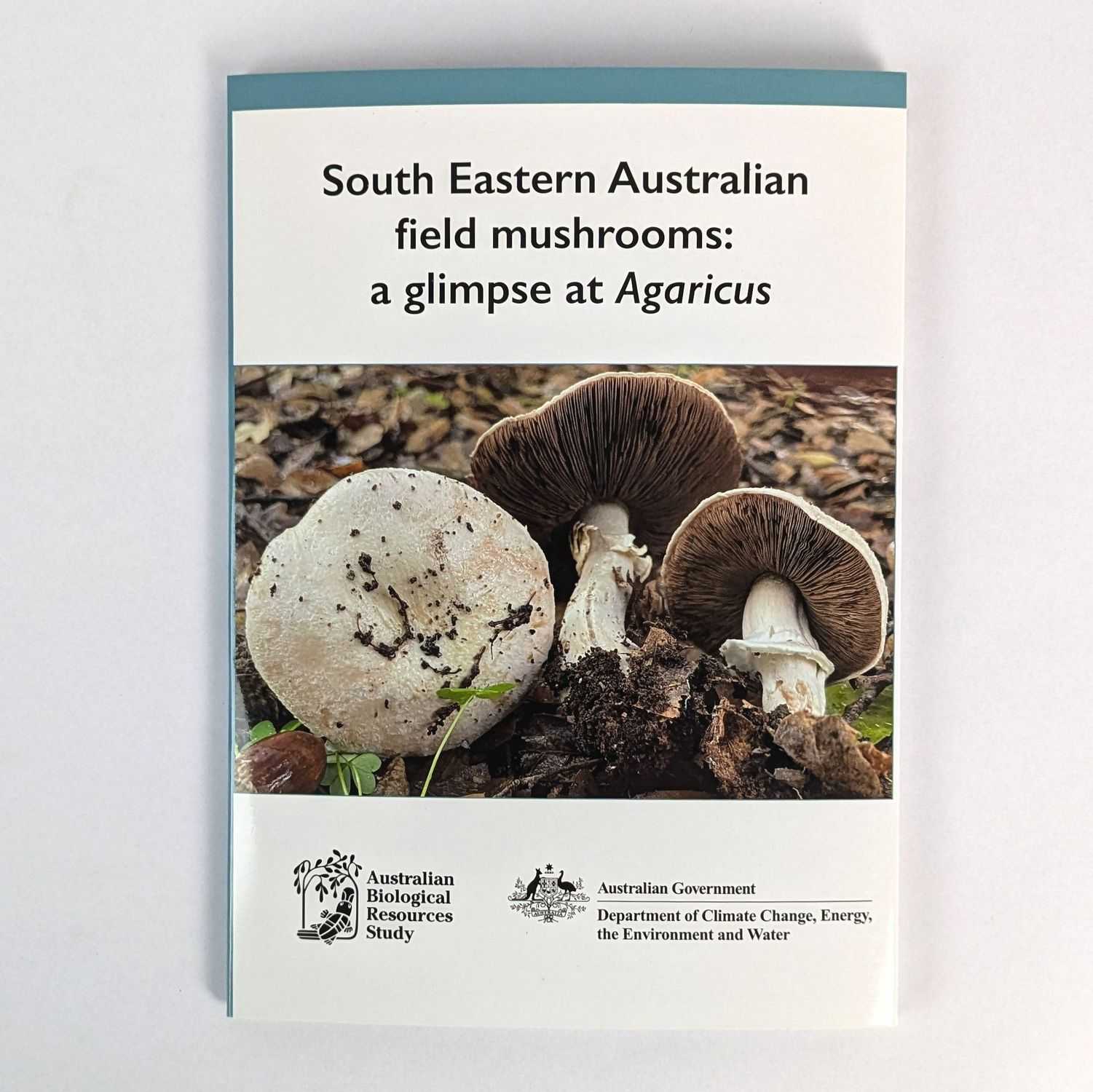Teresa Lebel; Amelia-Grace Boxshall; Sapphire McMullan-Fisher - South Eastern Australian Field Mushrooms: A Glimpse at Agaricus