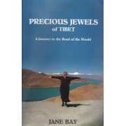 Picture 1 of 1 for PW-20090