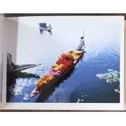 Picture 2 of 2 for SB00-0124243