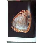 Picture 3 of 3 for SB00-0235835