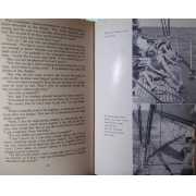 Picture 2 of 2 for BB06-19568