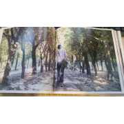 Picture 3 of 3 for BB06-20826