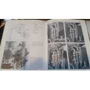 Picture 2 of 3 for BB06-21237