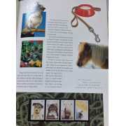Picture 2 of 3 for BB06-50185