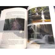 Picture 2 of 3 for BB06-52659