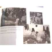 Picture 2 of 3 for BB06-52672