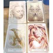 Picture 3 of 3 for BB06-53152