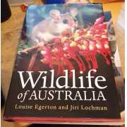 Picture 1 of 2 for BB06-53537