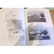 Picture 3 of 3 for BB06-53590