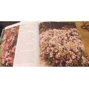 Picture 2 of 3 for BB06-54333